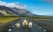 Flock of sheep on the road