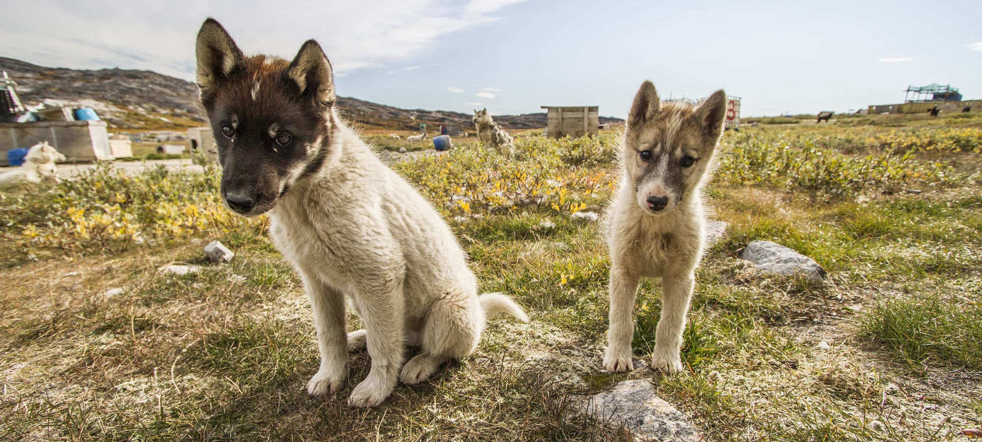 iceland family holiday
