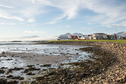 Höfn