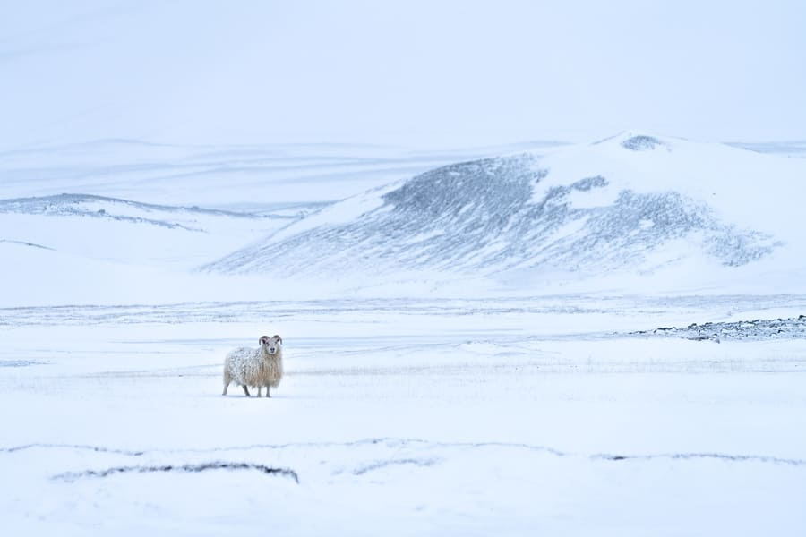 Iceland winter landscape