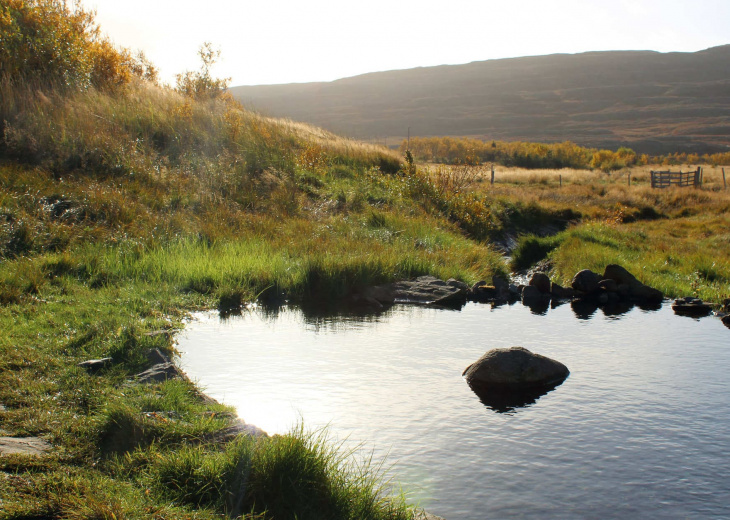 native iceland