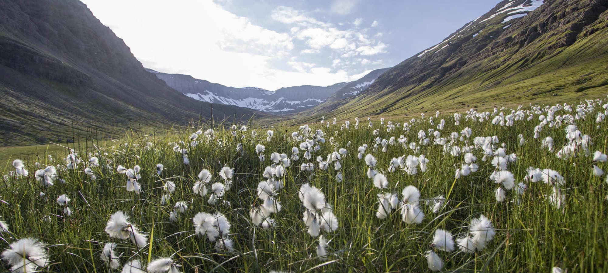 mountains in iceland