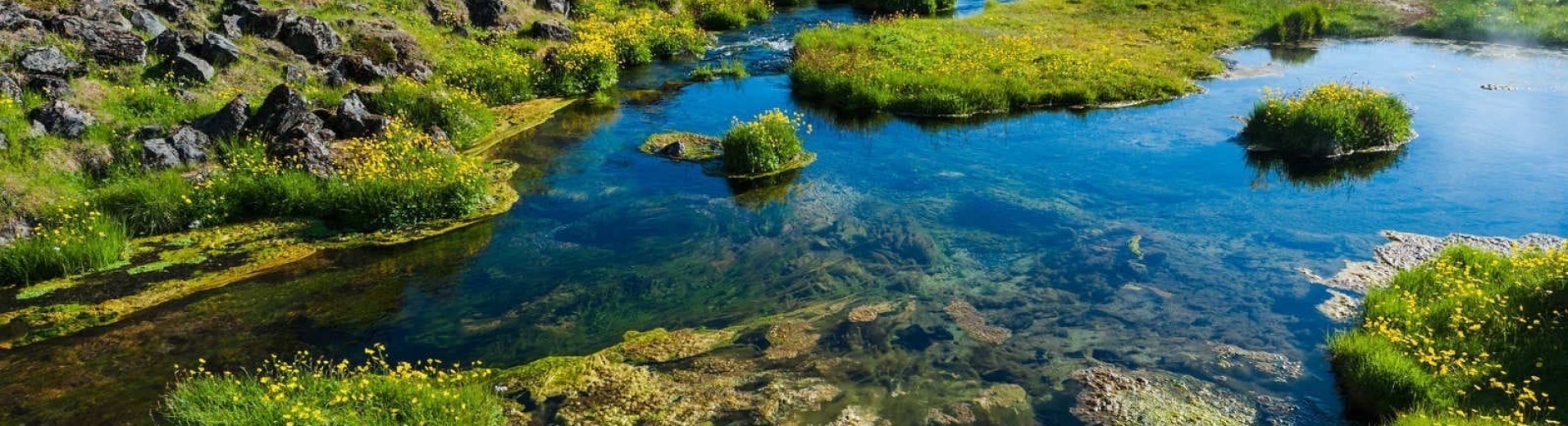 springtime iceland