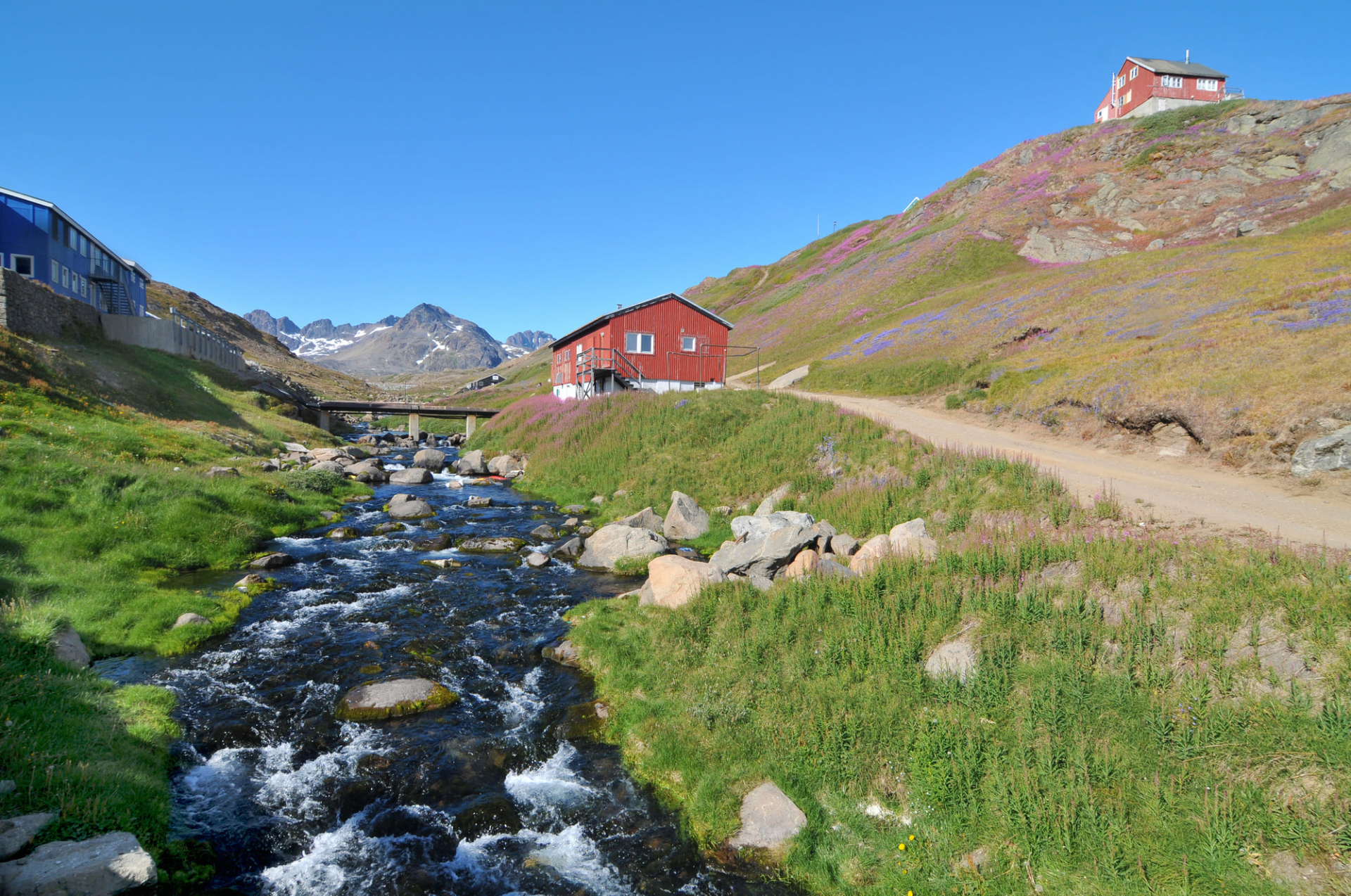 summer-stay-in-tasiilaq-greenland
