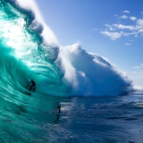 surf in iceland