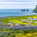 View of basalt stacks Reynisdrangar