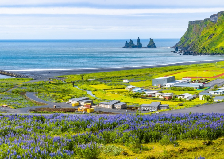 View of basalt stacks Reynisdrangar